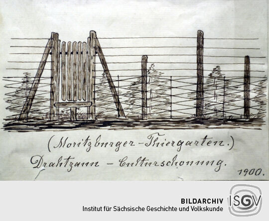 "Drahtzaun-Culturschonung" in Moritzburg