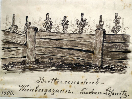 "Weinbergzaun" in Trachau-Lößnitz