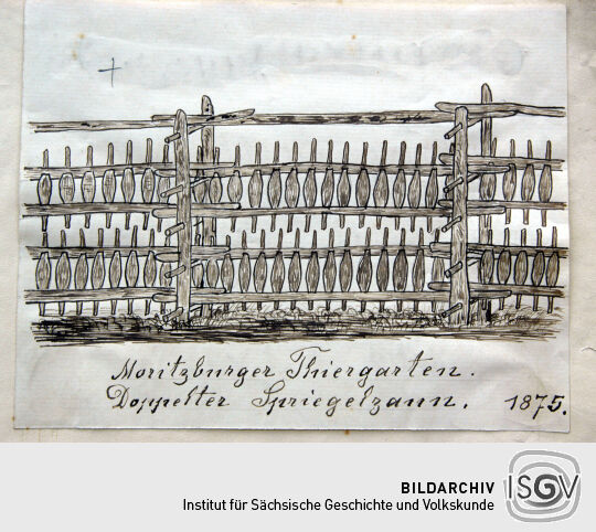 Spiegelzaun in "Moritzburger-Thiergarten"