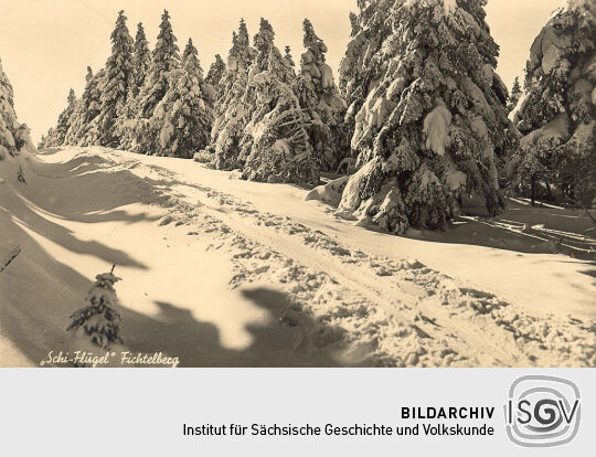 Postkarte - "Schi-Flügel" Fichtelberg (bei Oberwiesenthal)