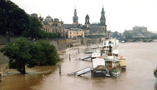 Elbe-Hochwasser in Dresden