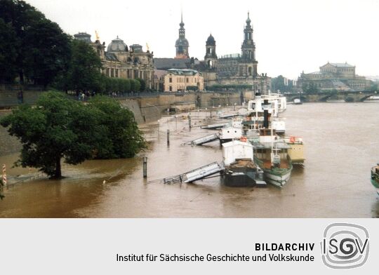 Elbe-Hochwasser in Dresden