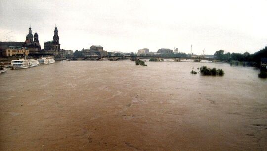 Elbe-Hochwasser in Dresden