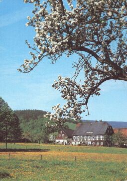 Bild: Frühlingslandschaft mit Fachwerkhof