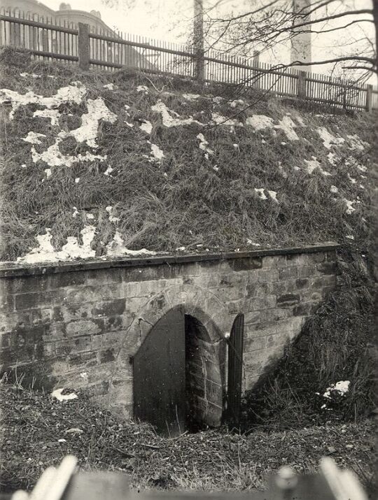 Mundloch eines Stollens in Cotta