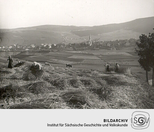 Ernte bei Oberwiesenthal