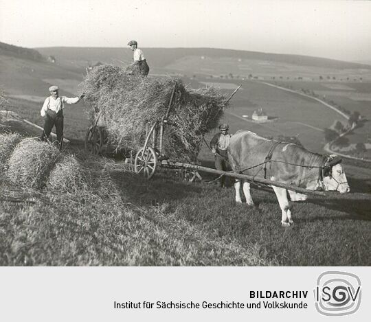 Getreidernte bei Oberwiesenthal