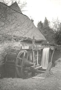 Bild: Mühle bei Wittichenau