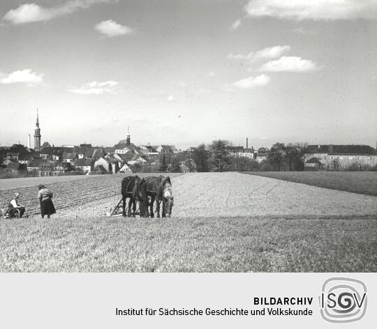 Blick auf Radeberg
