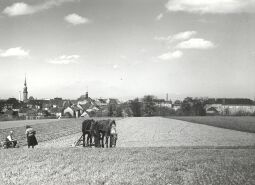 Bild: Blick auf Radeberg