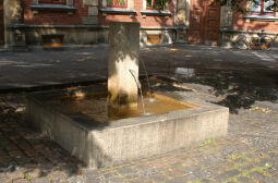 Bild: Am Domhof in Zwickau