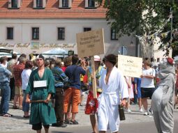 Bild: Festumzug zur 800-Jahr-Feier von Wermsdorf