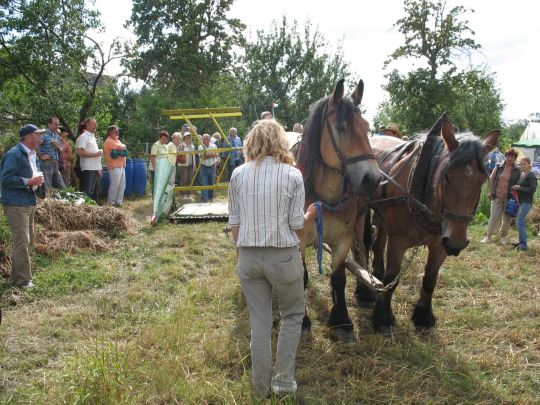 Dreschmaschinenfest in Luppa