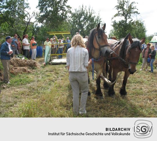 Dreschmaschinenfest in Luppa