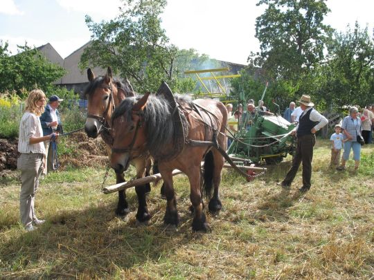 Dreschmaschinenfest in Luppa