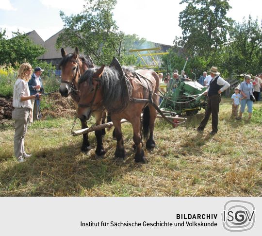 Dreschmaschinenfest in Luppa