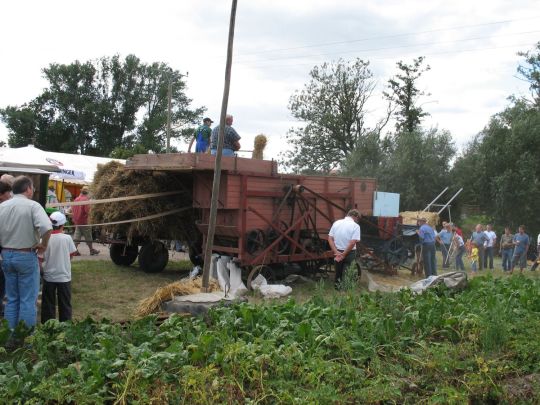 Dreschmaschinenfest in Luppa