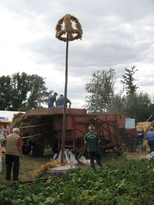 Dreschmaschinenfest in Luppa