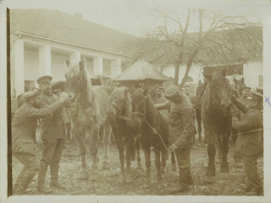 Soldaten der Feldpost mit Pferden in einem Hof