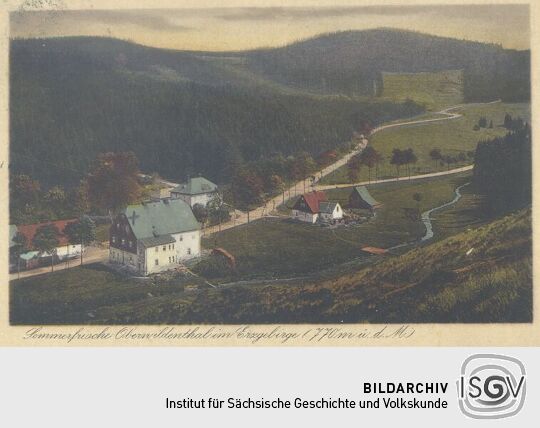 Bildpostkarte "Sommerfrische Oberwildenthal im Erzgebirge (770m ü.d.m.)"