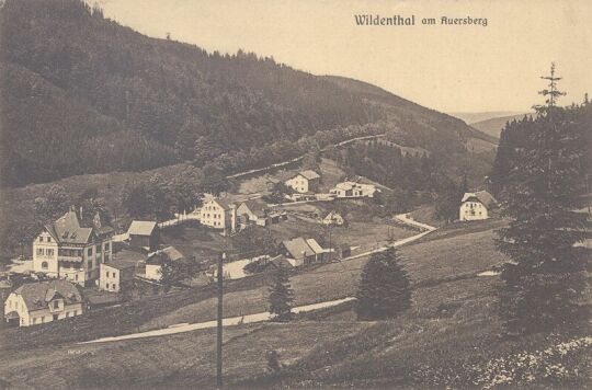 Bildpostkarte "Wildenthal am Auersberg"