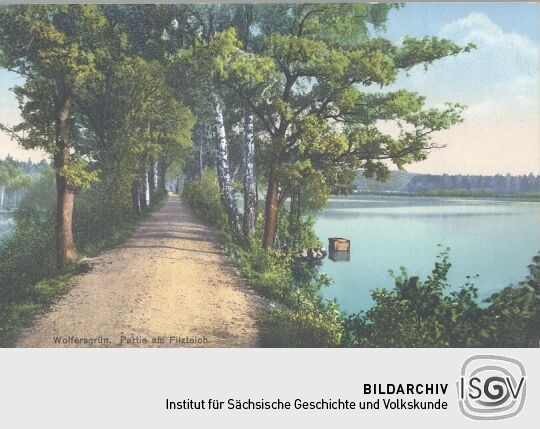 Bildpostkarte "Wolfersgrün. Partie am Filzteich."