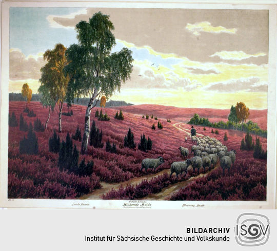 Lithografie 'Blühende Heide' von Wilhelm Schacht