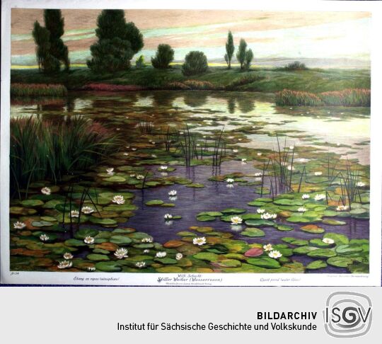 Lithographie 'Stiller Weiher' von Wilhelm Schacht