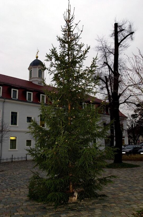 Ansicht eines Dresdner Weihnachtsmarktes