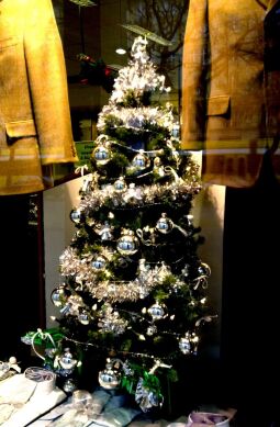 Bild: Ortsansicht in Dresden