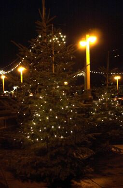 Bild: Ortsansicht in Dresden mit Weihnachtsbeleuchtung