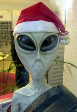 Bild: Schaufensterdekoration in Dresden