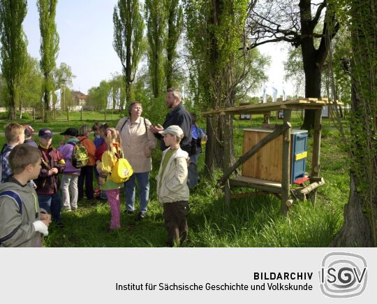Ansicht der Landesgartenschau in Großenhain