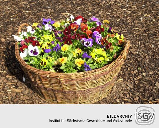 Ansicht der Landesgartenschau in Großenhain
