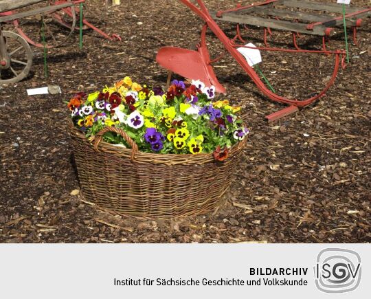 Ansicht der Landesgartenschau in Großenhain