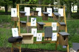 Bild: Ansicht der Landesgartenschau in Großenhain