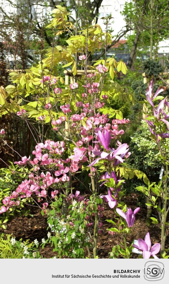 Ansicht der Landesgartenschau in Großenhain