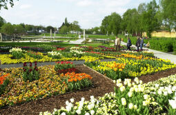 Bild: Ansicht der Landesgartenschau in Großenhain
