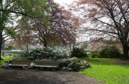 Bild: Ansicht der Landesgartenschau in Großenhain