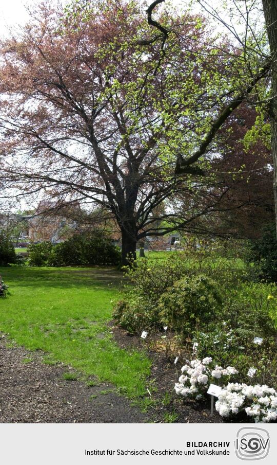 Ansicht der Landesgartenschau in Großenhain