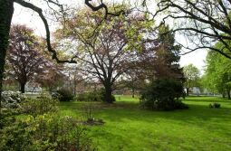 Bild: Ansicht der Landesgartenschau in Großenhain