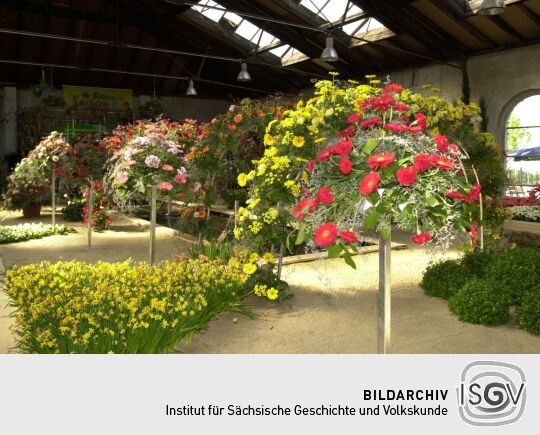 Ansicht der Landesgartenschau in Großenhain