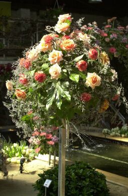 Bild: Ansicht der Landesgartenschau in Großenhain