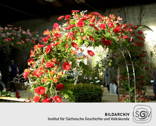 Ansicht der Landesgartenschau in Großenhain