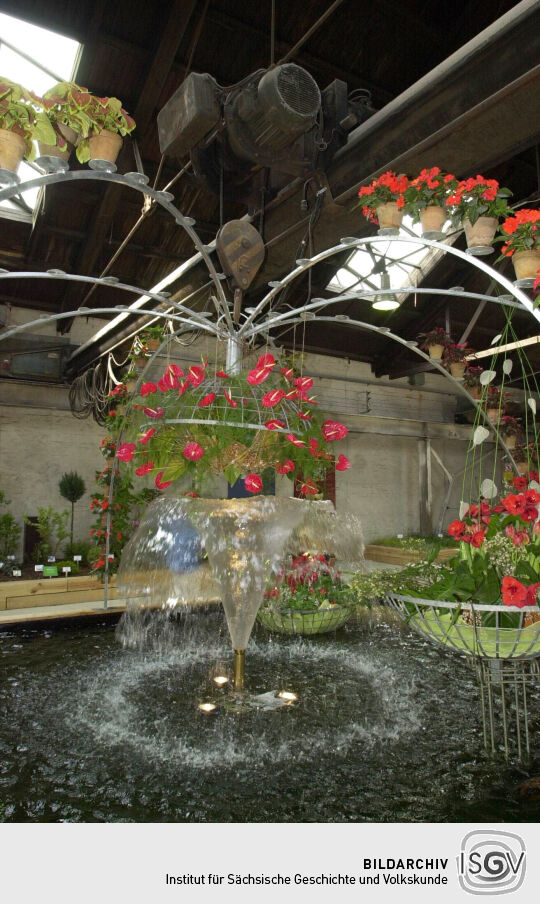 Ansicht der Landesgartenschau in Großenhain
