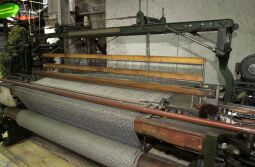 Bild: Ansicht der Landesgartenschau in Großenhain