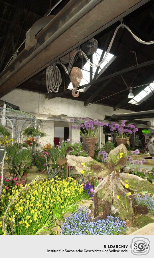 Ansicht der Landesgartenschau in Großenhain