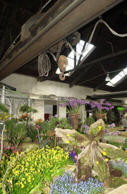 Bild: Ansicht der Landesgartenschau in Großenhain