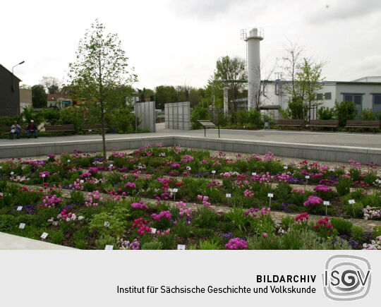 Ansicht der Landesgartenschau in Großenhain