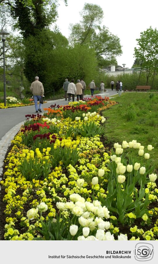 Ansicht der Landesgartenschau in Großenhain